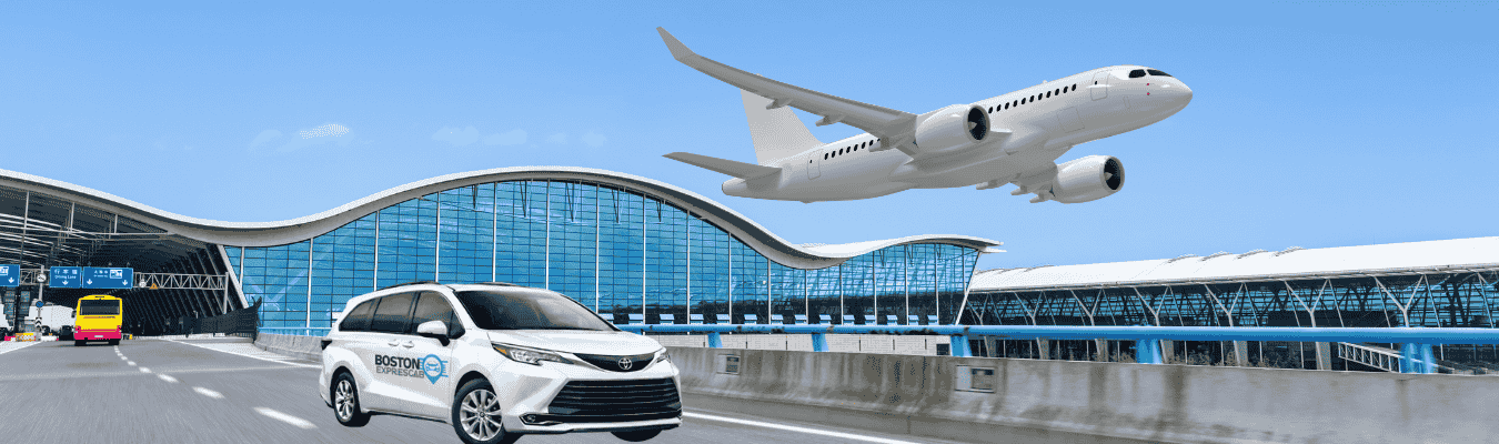 Area We Services Banner